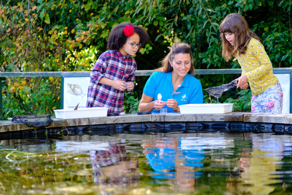 Pond Dipping.jpg